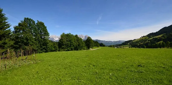 mfimmobilienlandhaus1.jpg